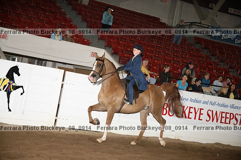 Proof buckeye_08_0914