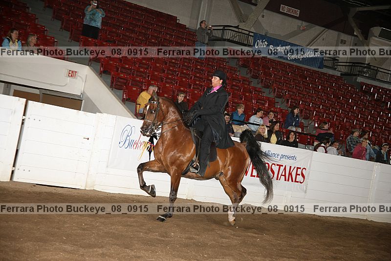 Proof buckeye_08_0915
