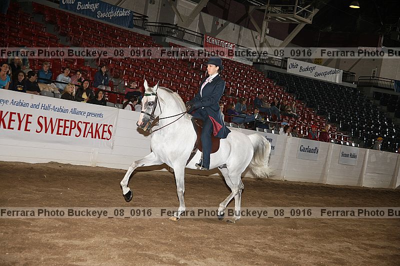 Proof buckeye_08_0916