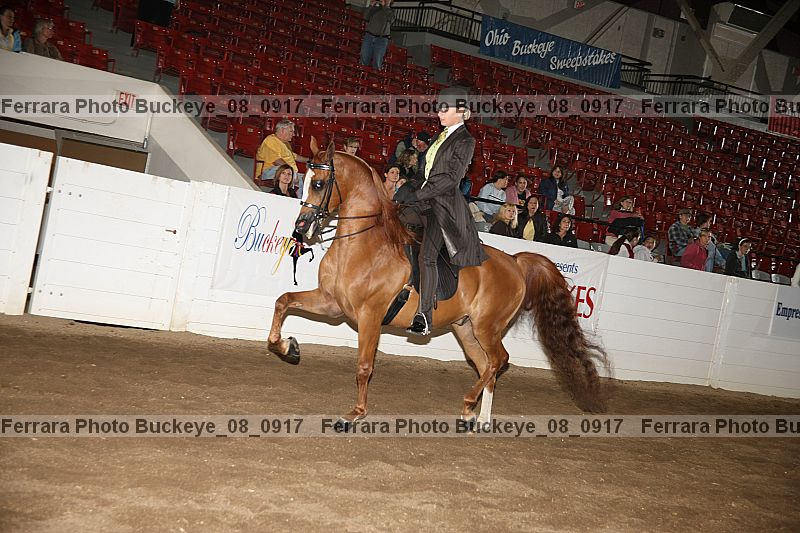 Proof buckeye_08_0917