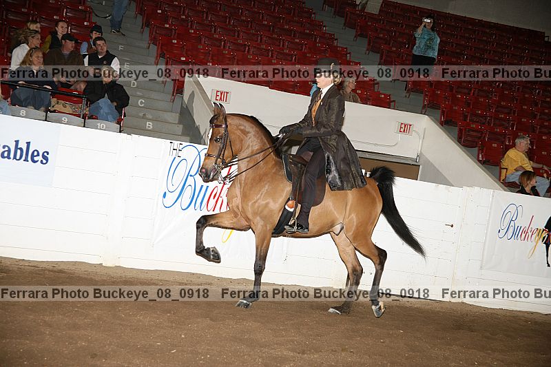 Proof buckeye_08_0918