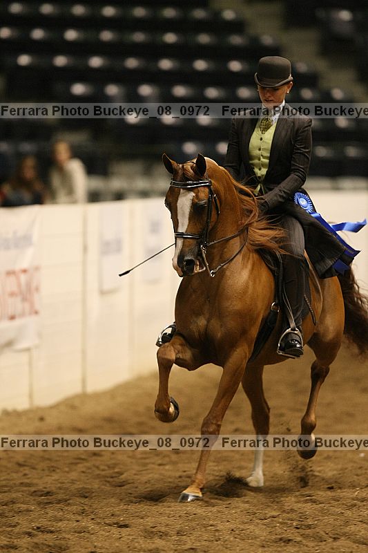 Proof buckeye_08_0972