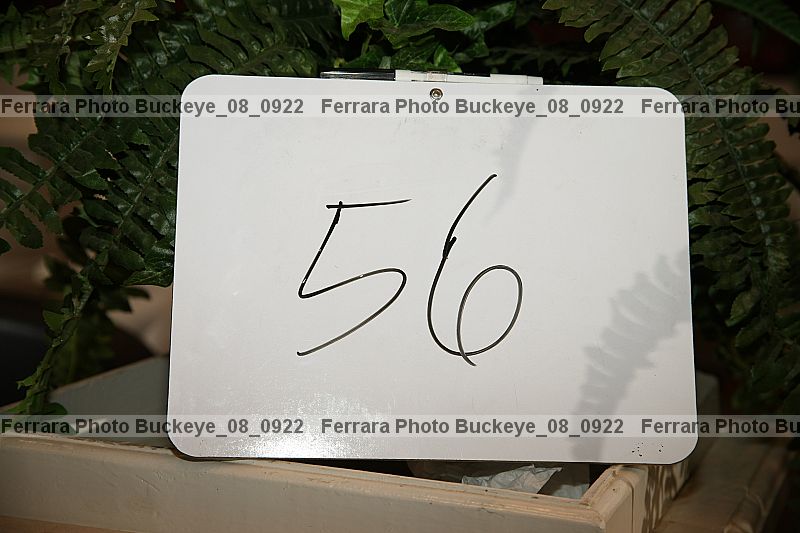 Proof buckeye_08_0922