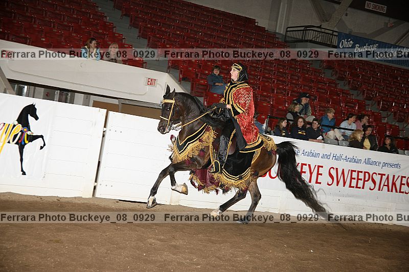 Proof buckeye_08_0929