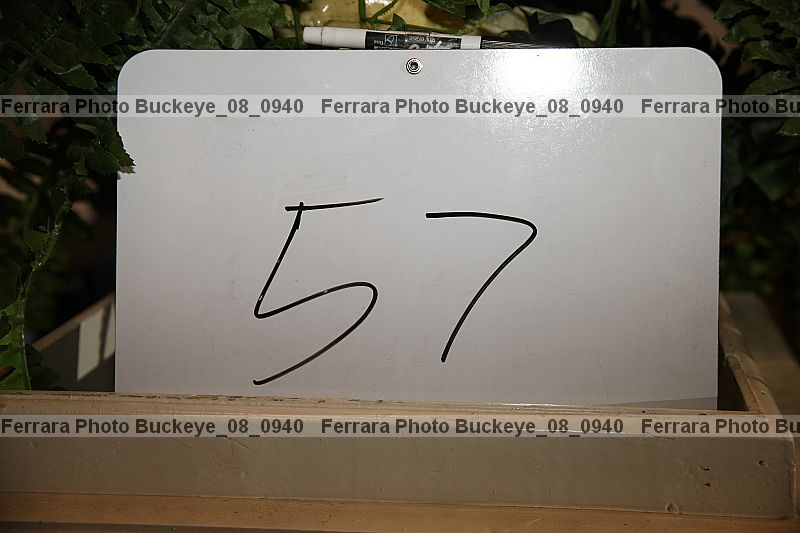 Proof buckeye_08_0940