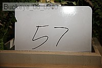 buckeye_08_0940 proof