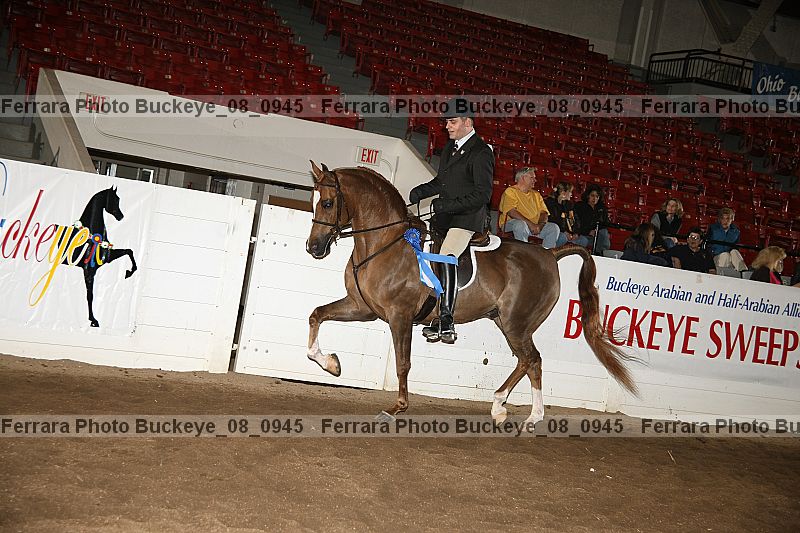 Proof buckeye_08_0945