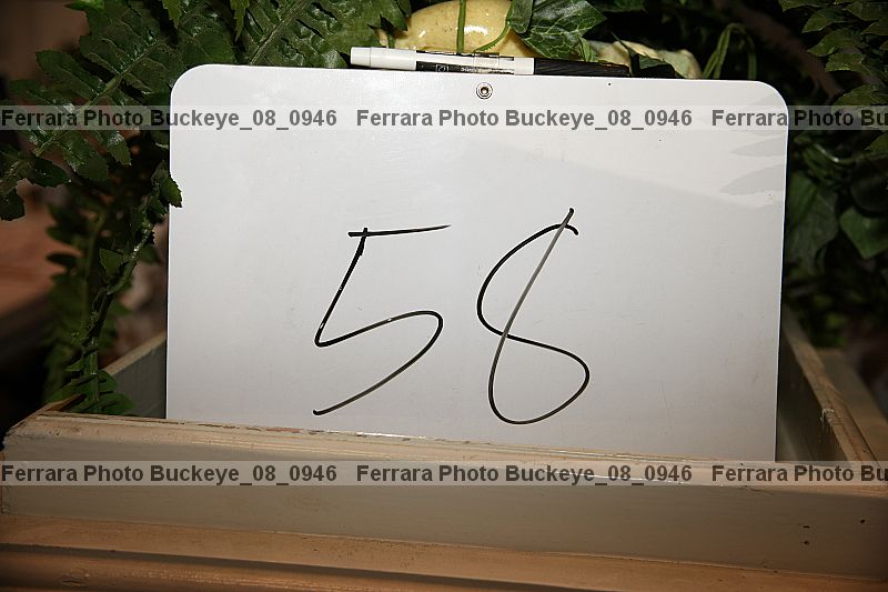 Proof buckeye_08_0946