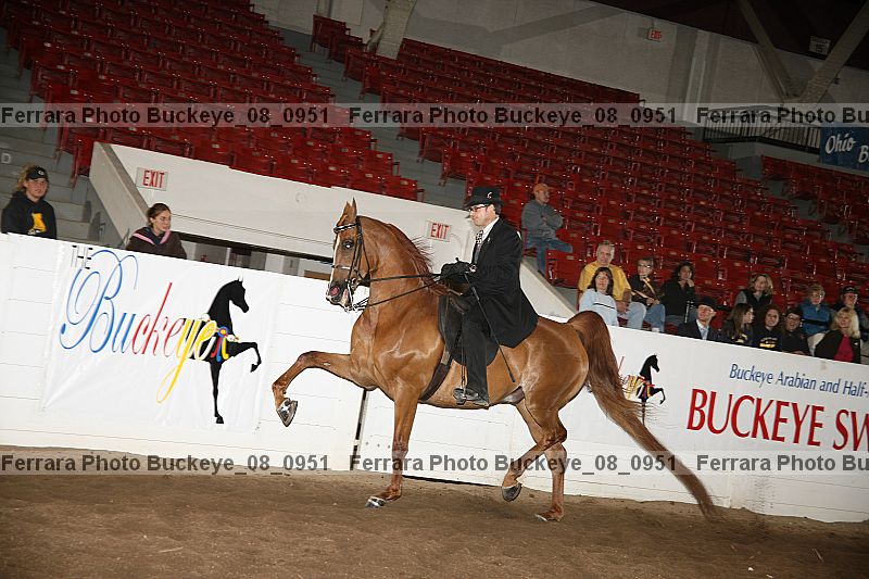 Proof buckeye_08_0951