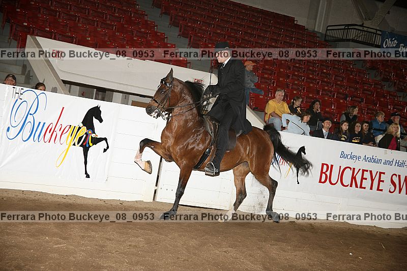 Proof buckeye_08_0953