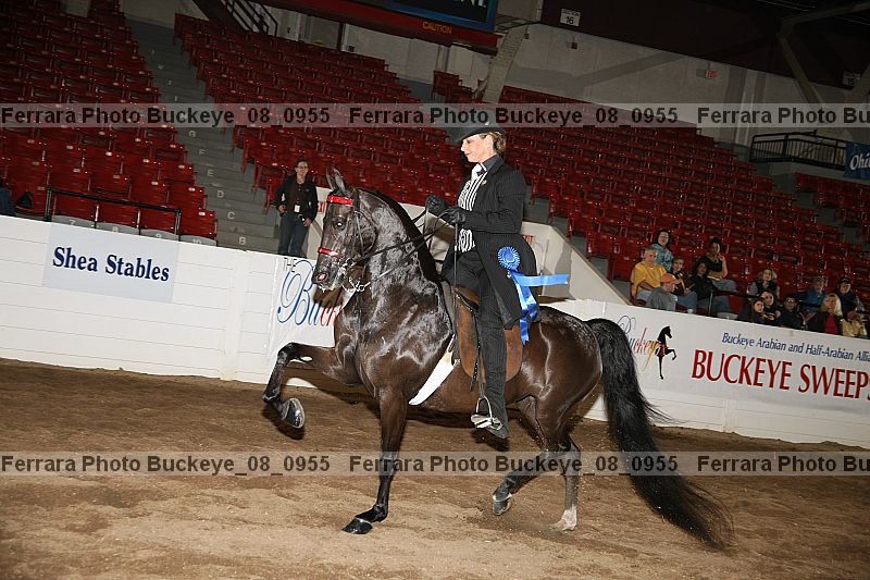 Proof buckeye_08_0955