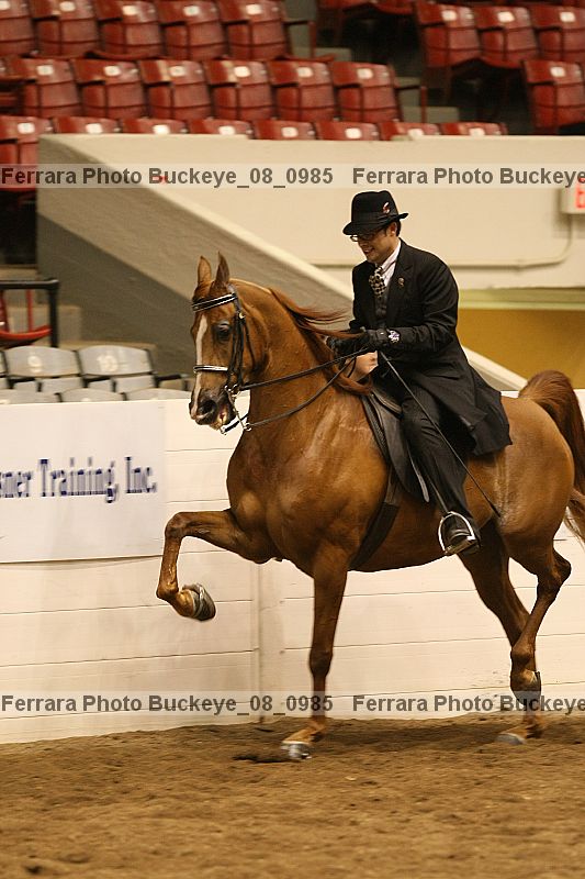 Proof buckeye_08_0985