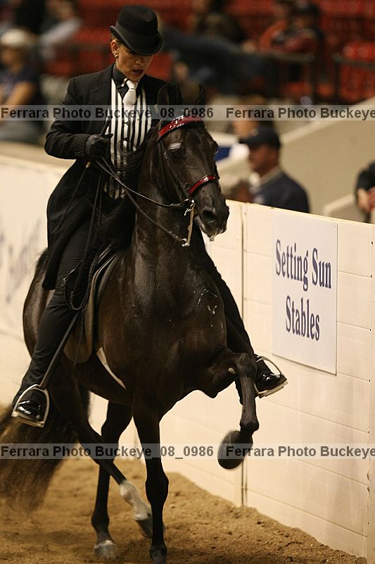 Proof buckeye_08_0986