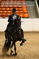 buckeye_08_0993 proof