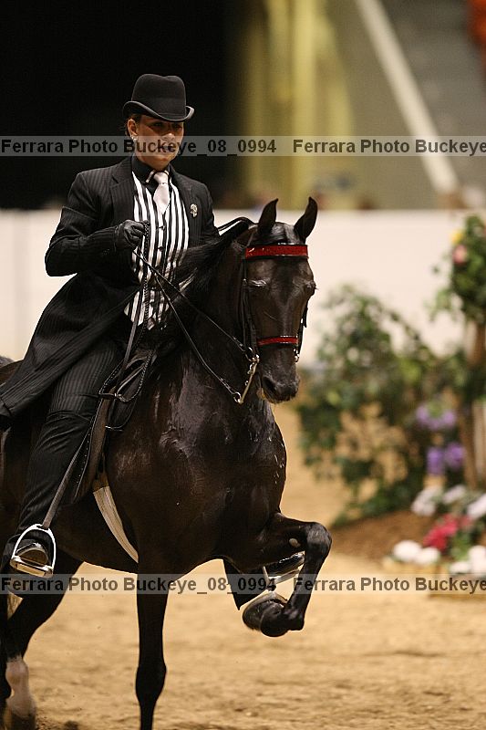 Proof buckeye_08_0994