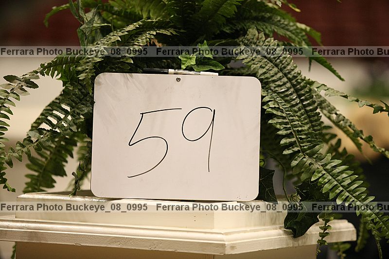 Proof buckeye_08_0995