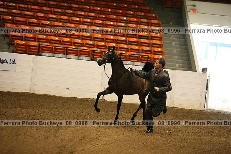 Proof buckeye_08_0996