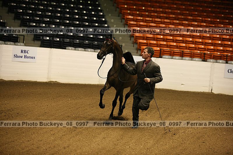 Proof buckeye_08_0997