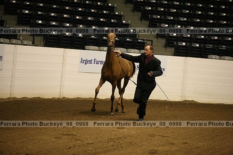 Proof buckeye_08_0998