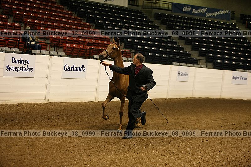 Proof buckeye_08_0999