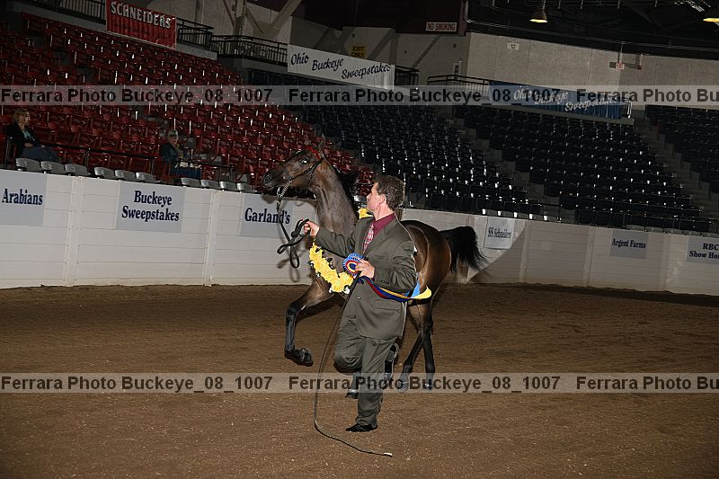 Proof buckeye_08_1007