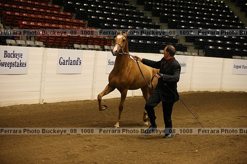 Proof buckeye_08_1008