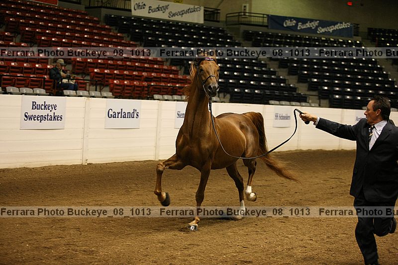 Proof buckeye_08_1013