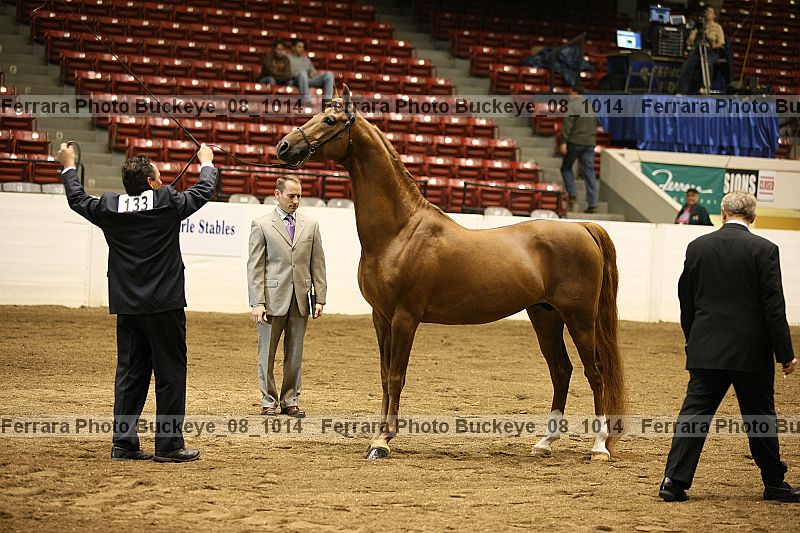 Proof buckeye_08_1014