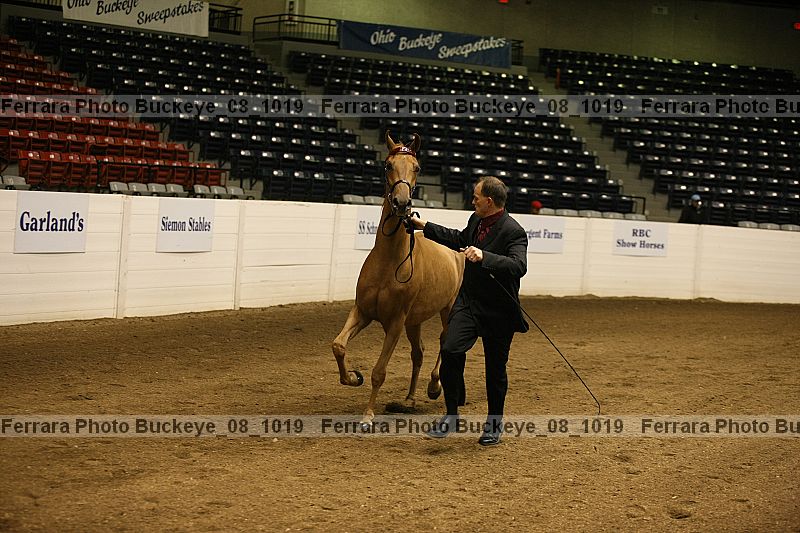 Proof buckeye_08_1019