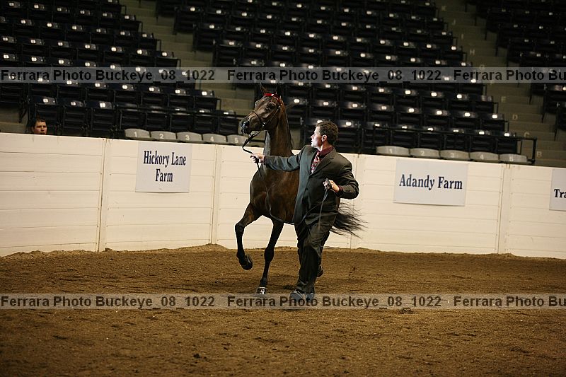 Proof buckeye_08_1022