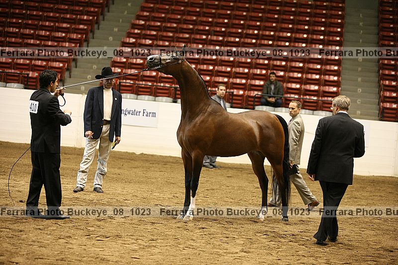 Proof buckeye_08_1023