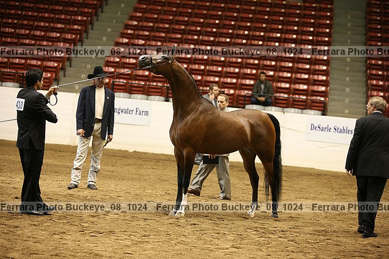 Proof buckeye_08_1024