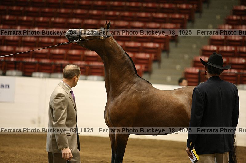 Proof buckeye_08_1025