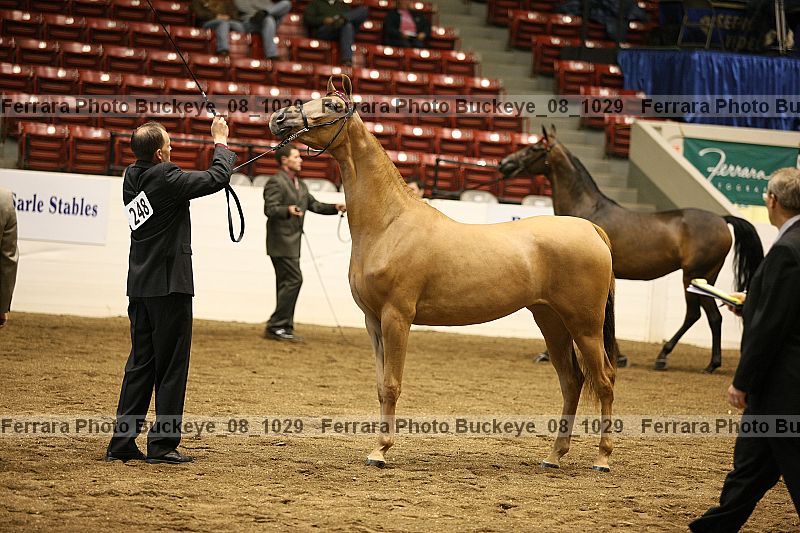 Proof buckeye_08_1029