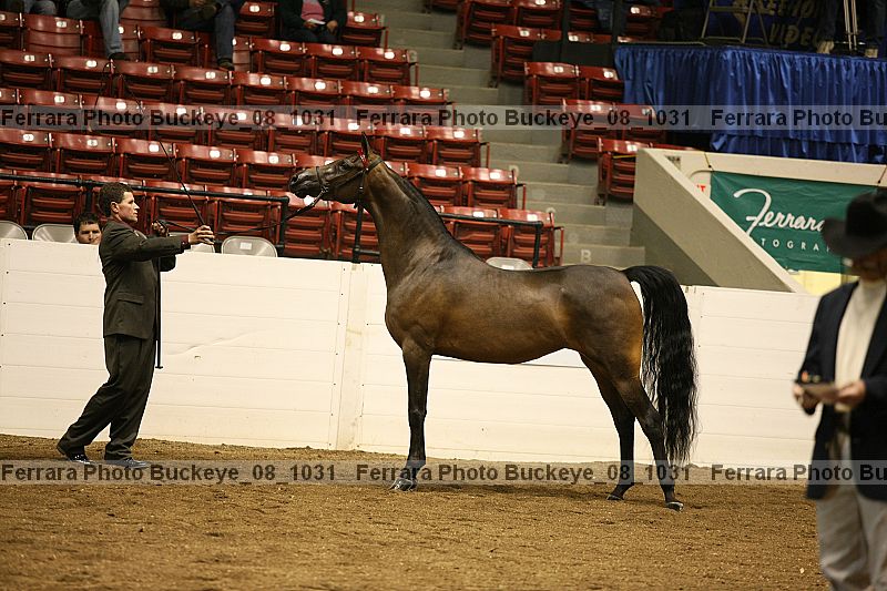 Proof buckeye_08_1031