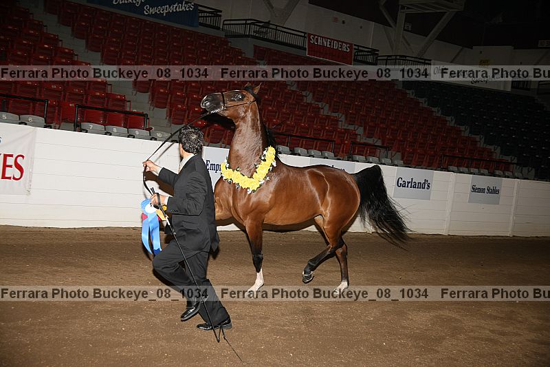 Proof buckeye_08_1034