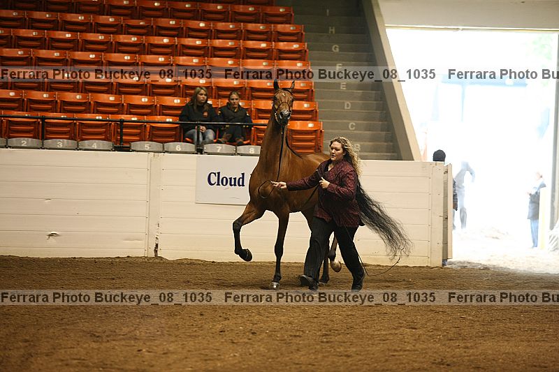 Proof buckeye_08_1035
