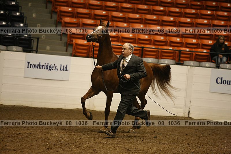 Proof buckeye_08_1036