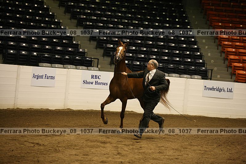 Proof buckeye_08_1037