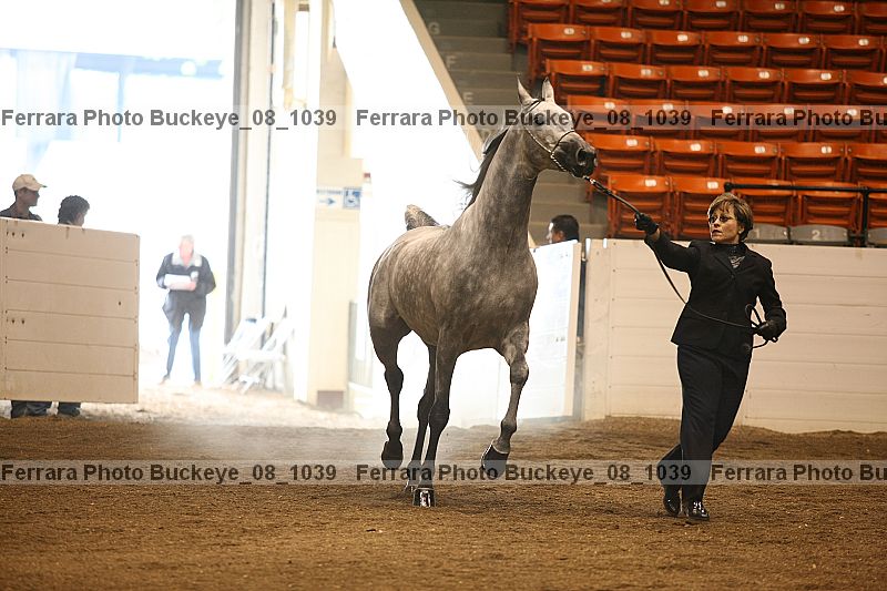 Proof buckeye_08_1039