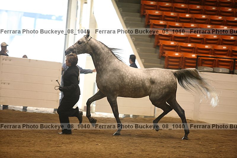 Proof buckeye_08_1040