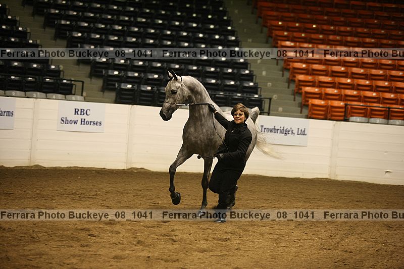 Proof buckeye_08_1041