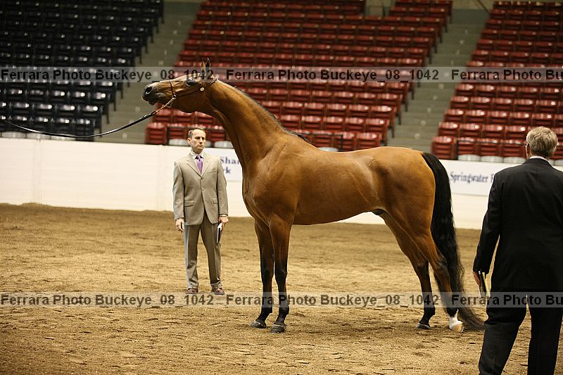 Proof buckeye_08_1042