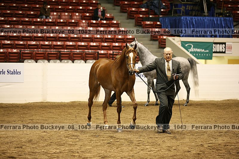Proof buckeye_08_1043
