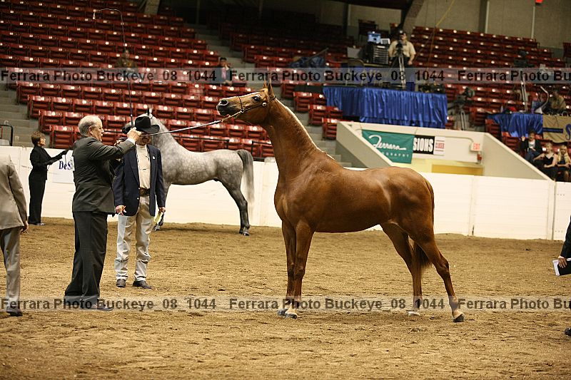 Proof buckeye_08_1044