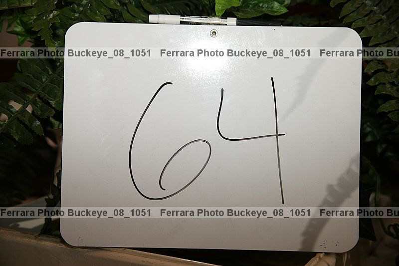 Proof buckeye_08_1051