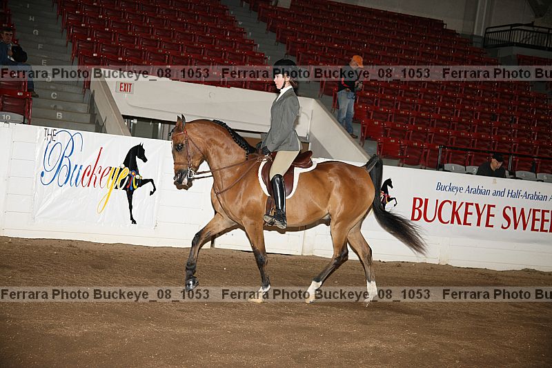 Proof buckeye_08_1053