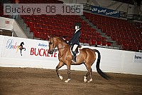 buckeye_08_1055 proof