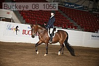 buckeye_08_1056 proof