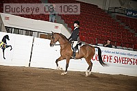 buckeye_08_1063 proof